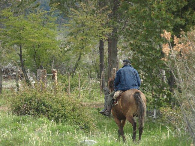 ../../Pictures/231209/007 Gaucho.JPG